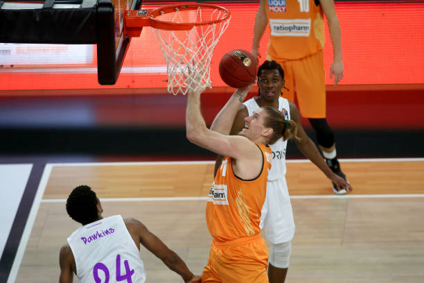 界常见的 界常见的